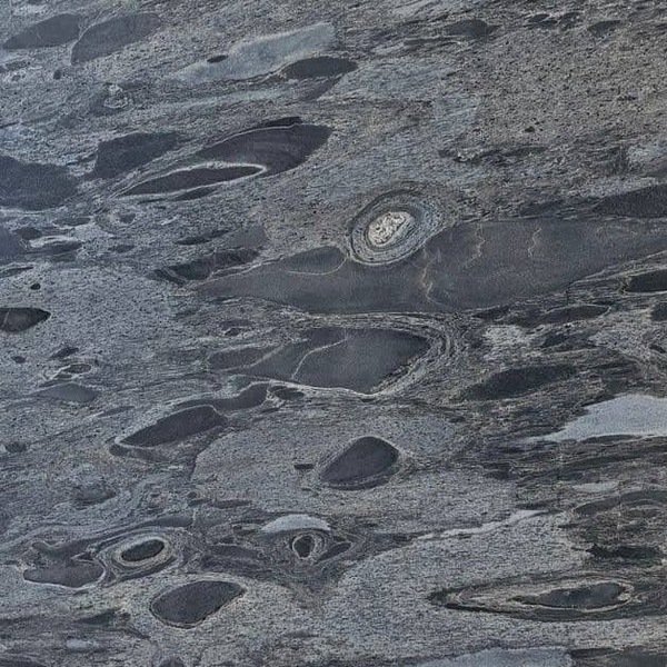 Silver Leaf Slatestone