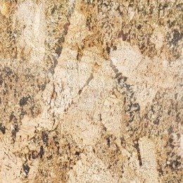 Alaska Gold Granite