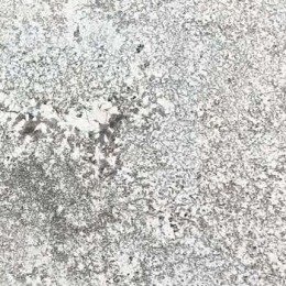 Oyster White Granite