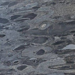 Silver Leaf Slatestone